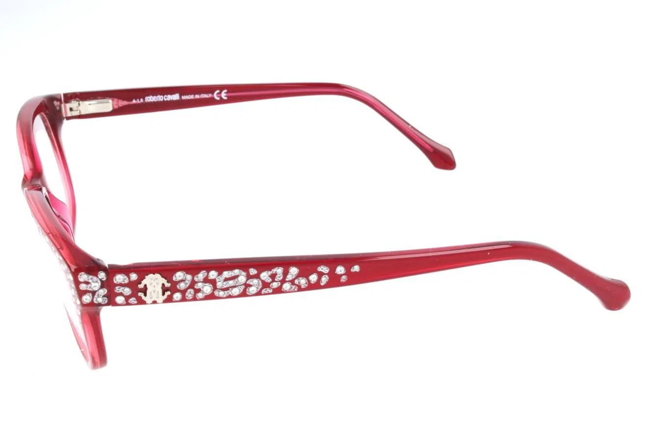 Roberto Cavalli RC0928 Eyeglasses - view 4
